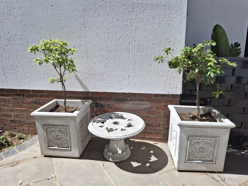 A paved outdoor patio area featuring a brick and textured plaster wall finish.