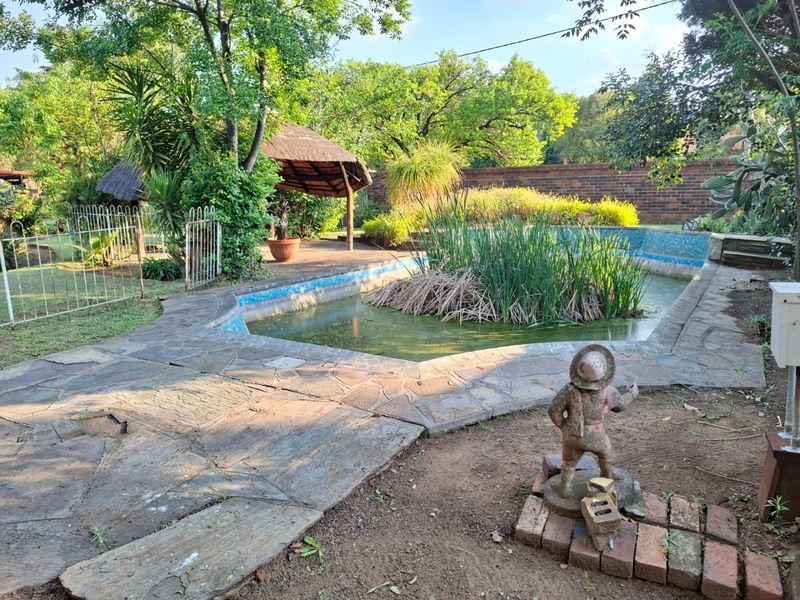 Outdoor pool area featuring stone paving, a thatched gazebo, and a brick boundary wall, currently requiring maintenance and landscaping.