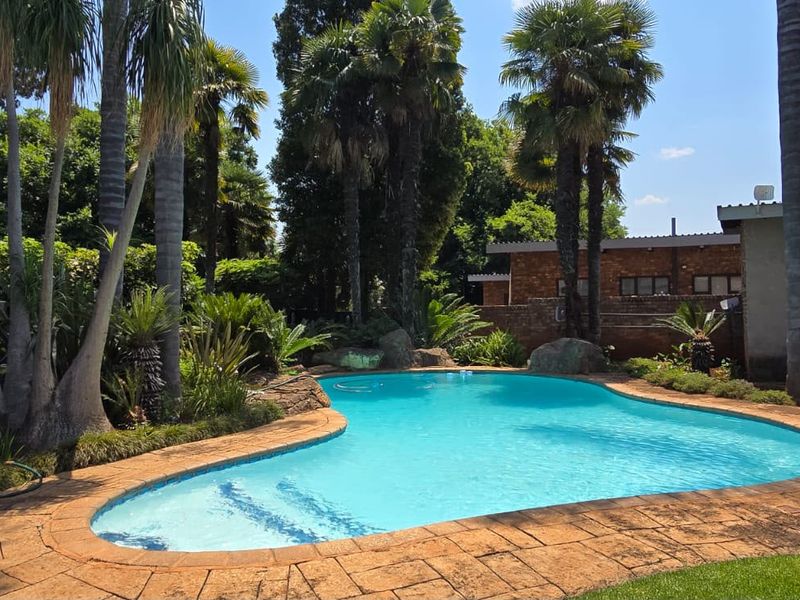 A well-maintained swimming pool area featuring a paved surround, established palm trees, and lush garden landscaping.
