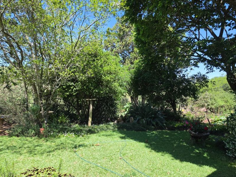 A lush, well-established garden featuring mature trees, green lawn, and dense perimeter shrubbery, providing a private and tranquil outdoor setting.