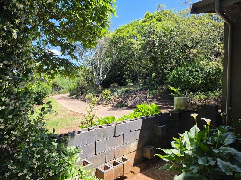 A view from a patio overlooking a landscaped garden, paved driveway, and stone steps leading into the surrounding greenery.
