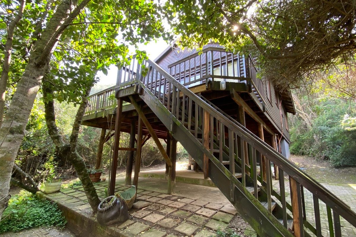 Rear view of a raised timber house featuring an elevated deck, wooden staircase, and a paved patio area set within a wooded garden.
