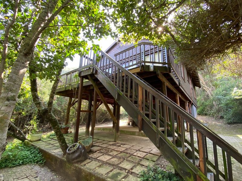Rear view of a raised timber house featuring an elevated deck, wooden staircase, and a paved patio area set within a wooded garden.