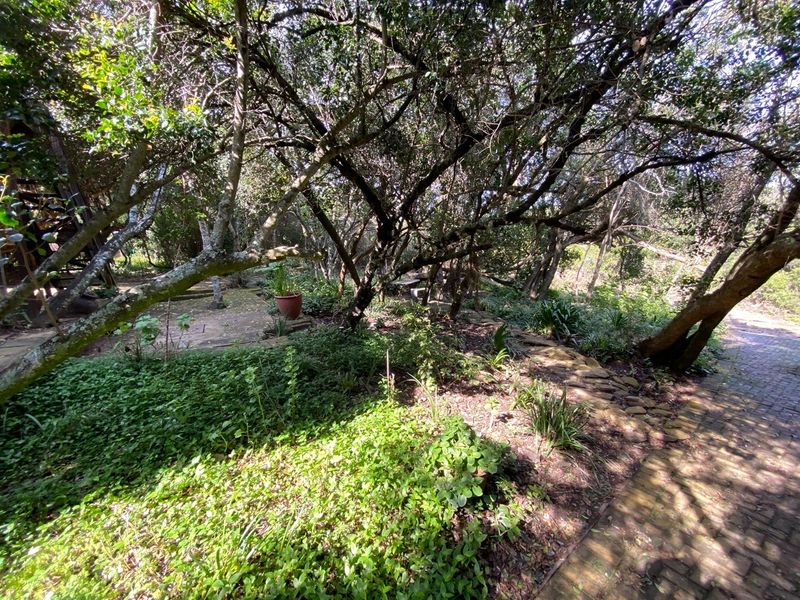 A lush, shaded garden area featuring mature trees, ground cover, and a stone-paved pathway leading through the landscape.
