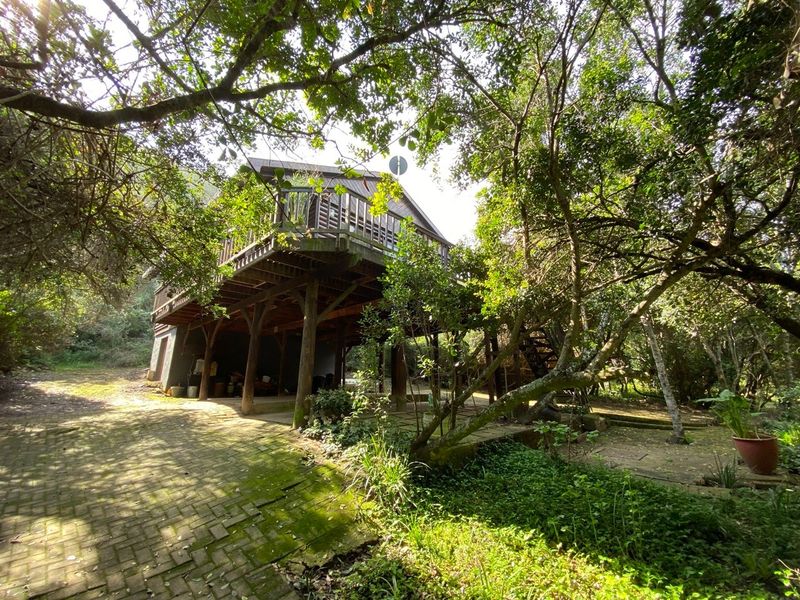 A raised timber deck structure set within a wooded garden area, featuring a paved driveway and natural landscape surroundings.