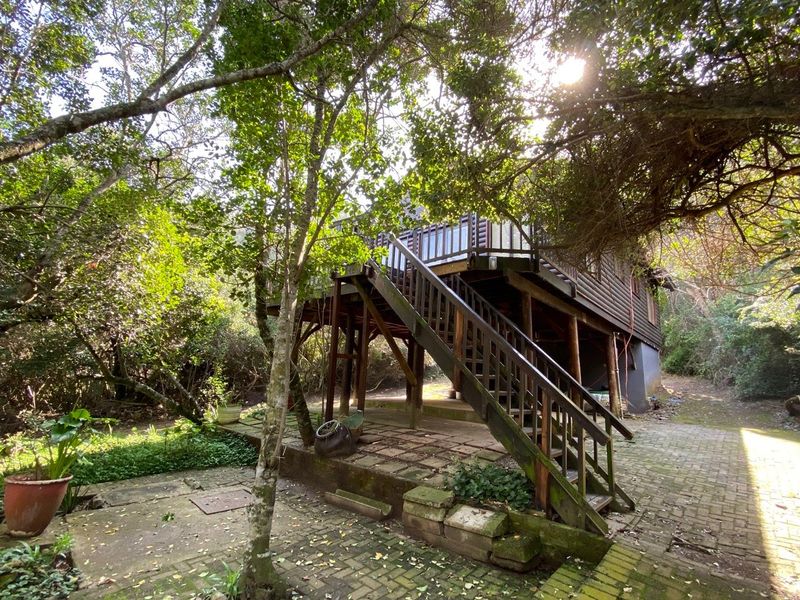 Rear view of a raised timber-clad house featuring a wooden deck, external staircase, and paved patio area surrounded by mature trees.
