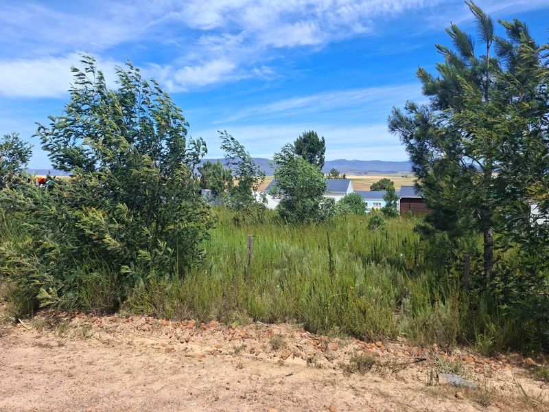 A view of a vacant residential plot featuring natural vegetation and mature trees, offering a clear perspective of the surrounding landscape.