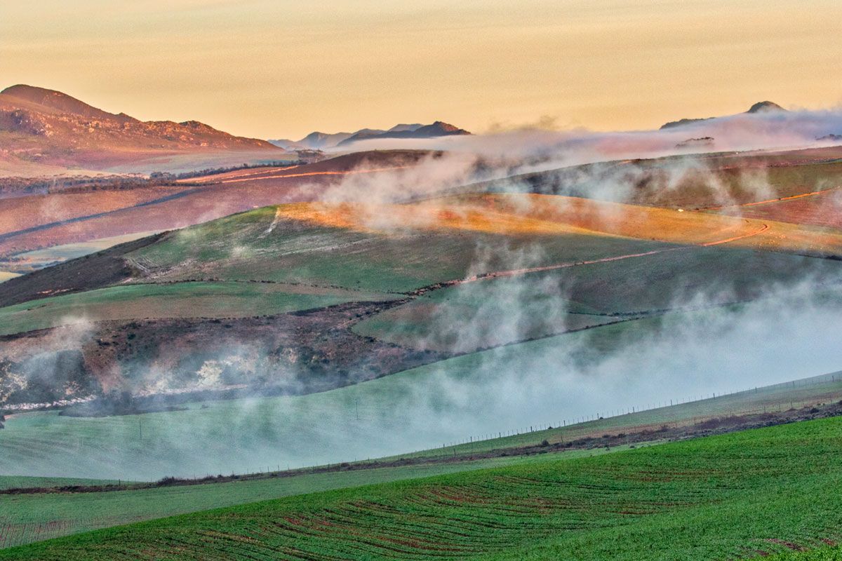 A scenic landscape view of rolling green hills and mountains at sunrise with morning mist.