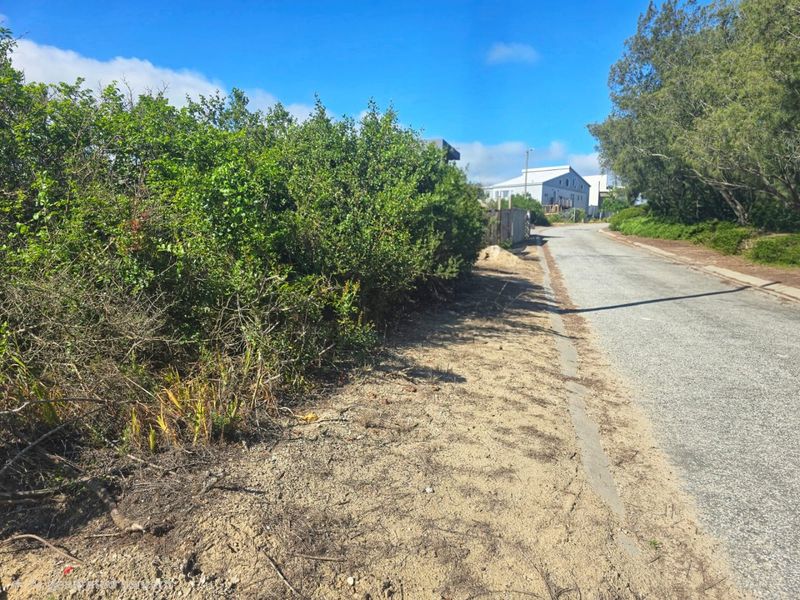 A view of the street frontage adjacent to the vacant residential land, featuring an asphalt road and established roadside vegetation.