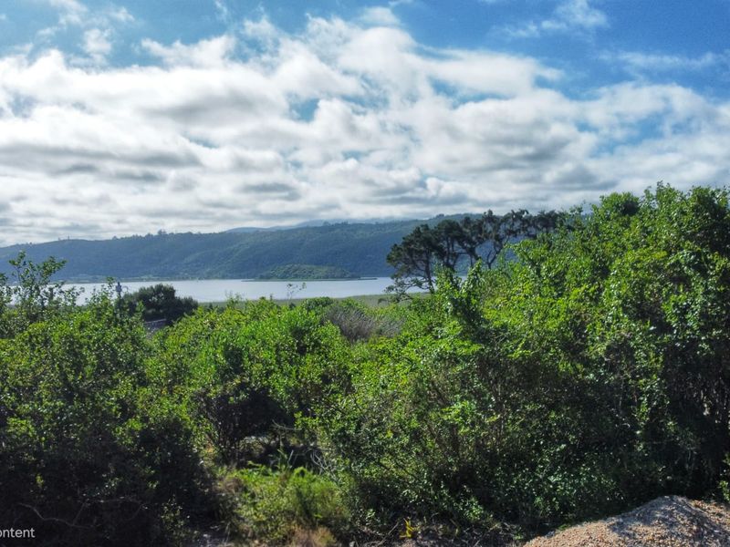 A scenic view overlooking a tranquil lake and distant mountains, framed by lush natural vegetation on the property.