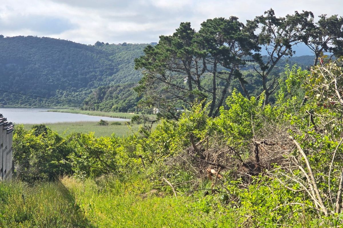 A scenic view of the lake and surrounding hills from the vacant residential land.