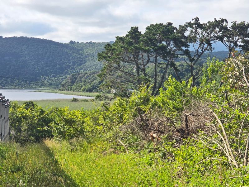 A scenic view of the lake and surrounding hills from the vacant residential land.
