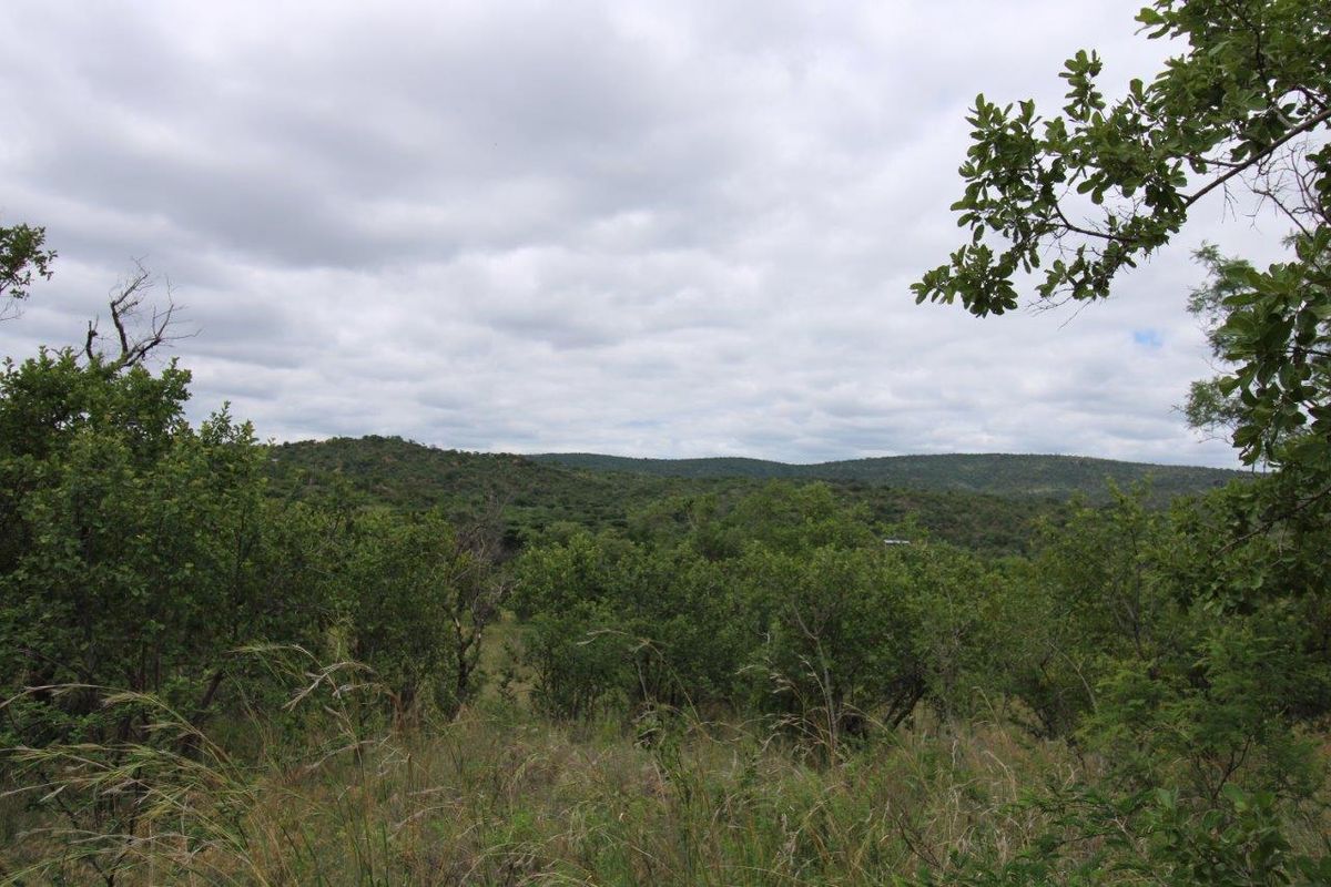 A scenic view of the natural hilly landscape and dense indigenous vegetation surrounding the vacant residential property.