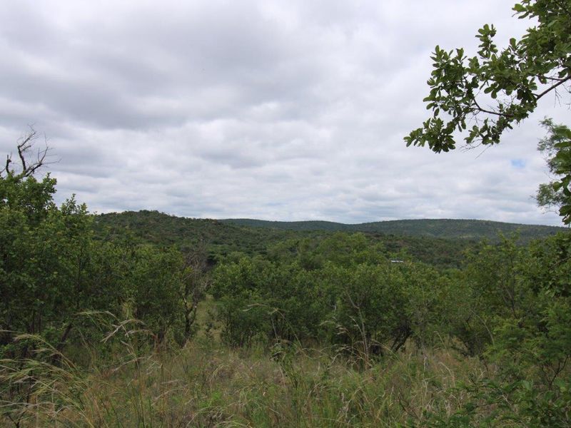 A scenic view of the natural hilly landscape and dense indigenous vegetation surrounding the vacant residential property.