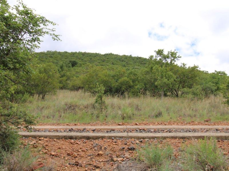 A view of the natural landscape featuring indigenous vegetation and hillside terrain on the vacant residential property.