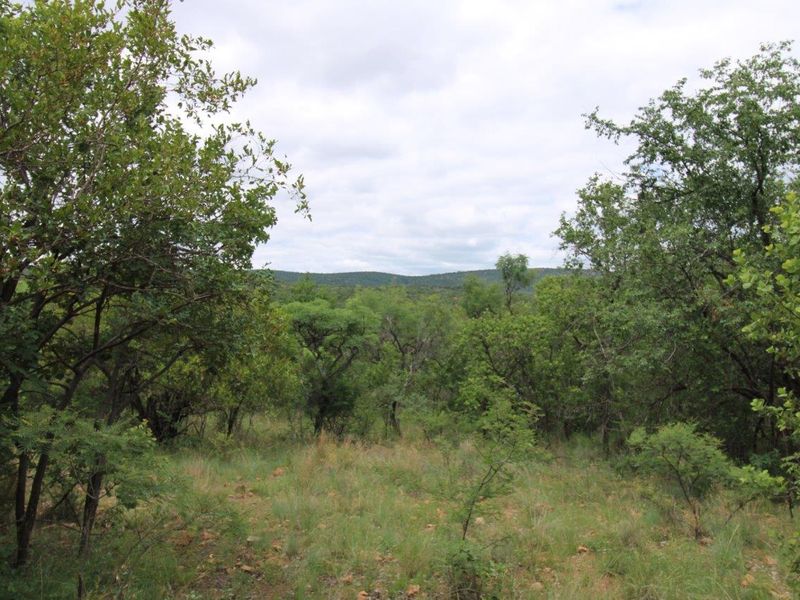 A scenic view of the natural landscape featuring dense native vegetation and rolling hills in the distance.