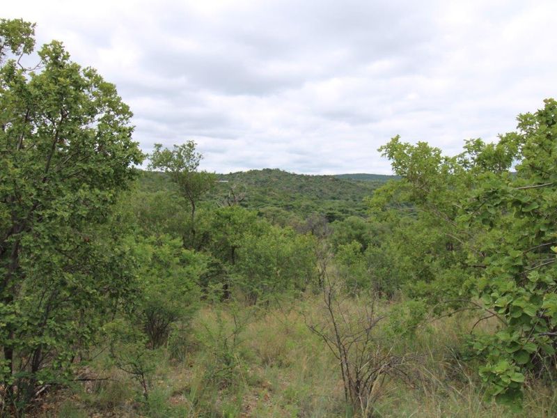 A scenic view of the natural landscape featuring rolling hills and dense native vegetation on this vacant residential land.