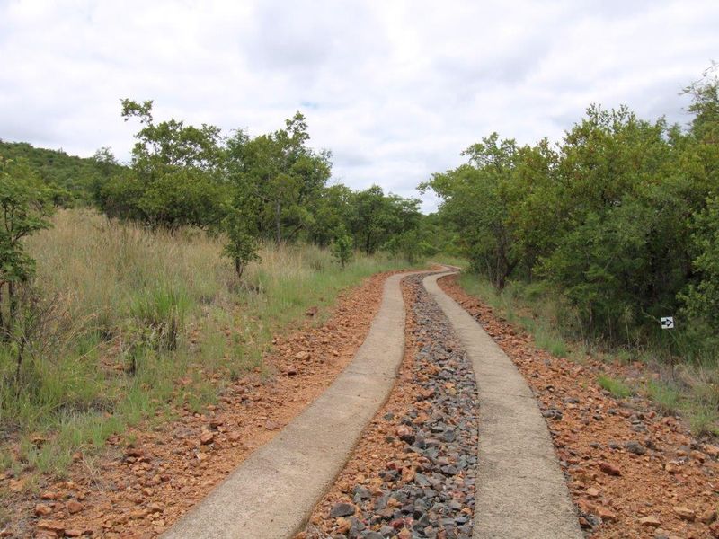 A winding concrete track driveway leading through a natural, bushveld-style landscape on a vacant residential property.