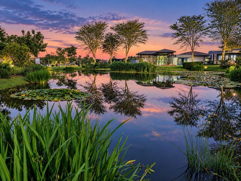 A beautifully landscaped garden featuring a serene pond with water lilies, mature trees, and a view of the estate clubhouse at sunset.