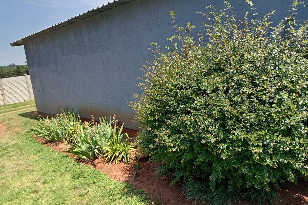 A view of the property's exterior rear wall featuring a textured finish, corrugated metal roof edge, and established garden landscaping.