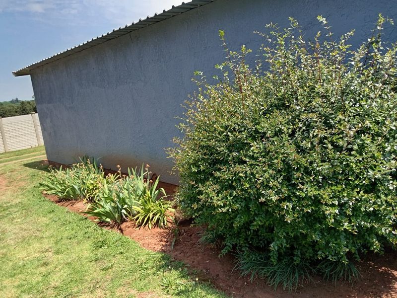 A view of the property's exterior rear wall featuring a textured finish, corrugated metal roof edge, and established garden landscaping.