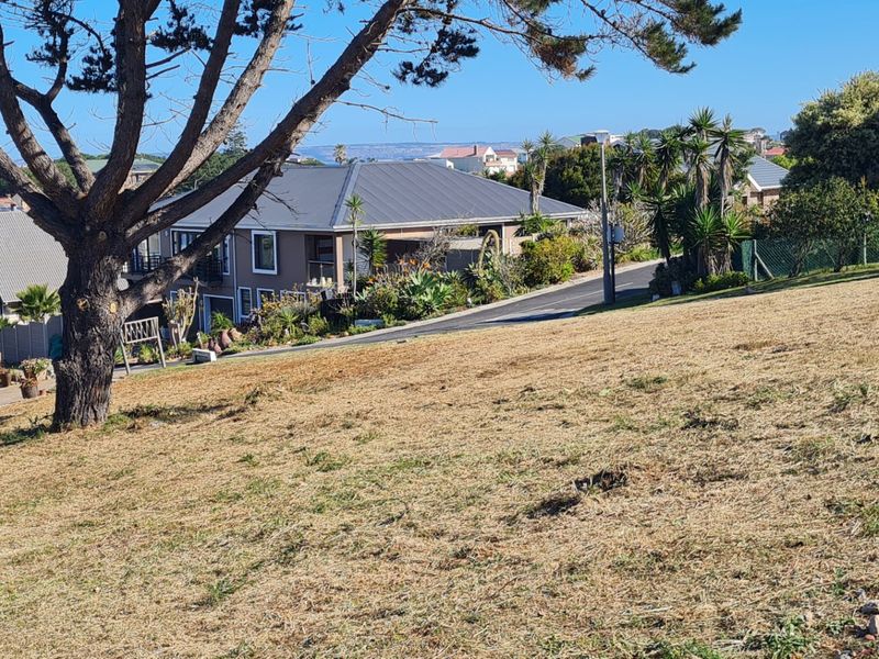 A view of a vacant residential plot featuring a gentle slope and a mature tree, overlooking the surrounding neighborhood and street.