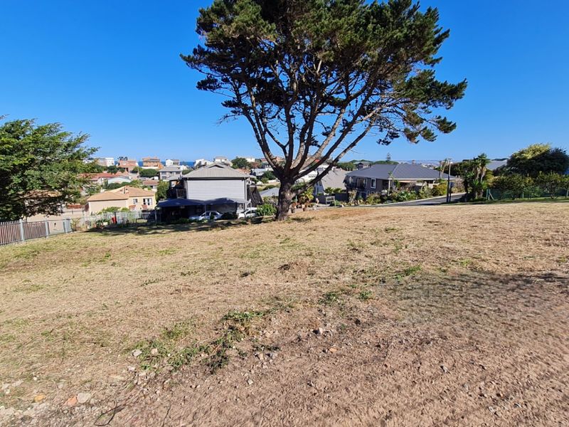 A vacant residential plot featuring a mature tree and perimeter fencing, offering a clear view of the surrounding neighborhood.