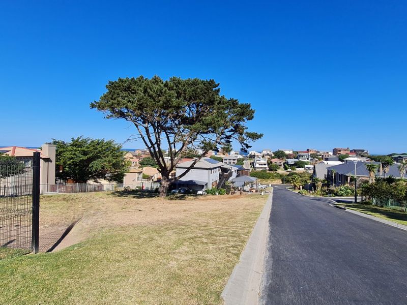 A street-level view of a residential area featuring an asphalt road, concrete curbing, and surrounding neighborhood properties.