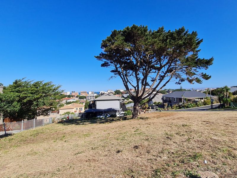 A view of the surrounding residential neighborhood and landscape from the vacant residential land plot.