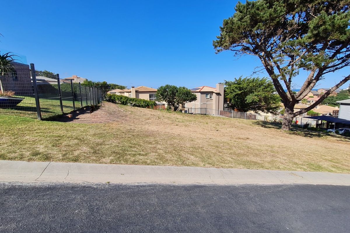 A vacant residential plot featuring a paved driveway, wire mesh fencing, and a mature tree, situated in a developed neighborhood.