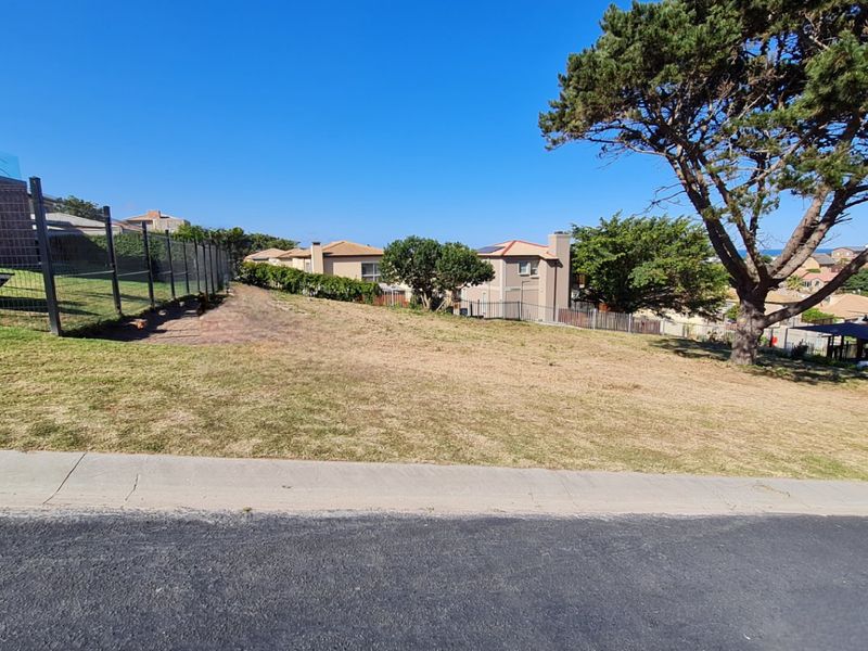 A vacant residential plot featuring a paved driveway, wire mesh fencing, and a mature tree, situated in a developed neighborhood.