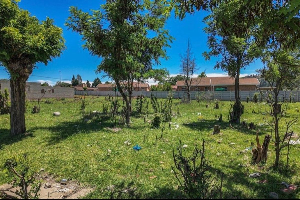 A vacant residential plot featuring mature trees and a perimeter wall, offering a blank canvas for future development.