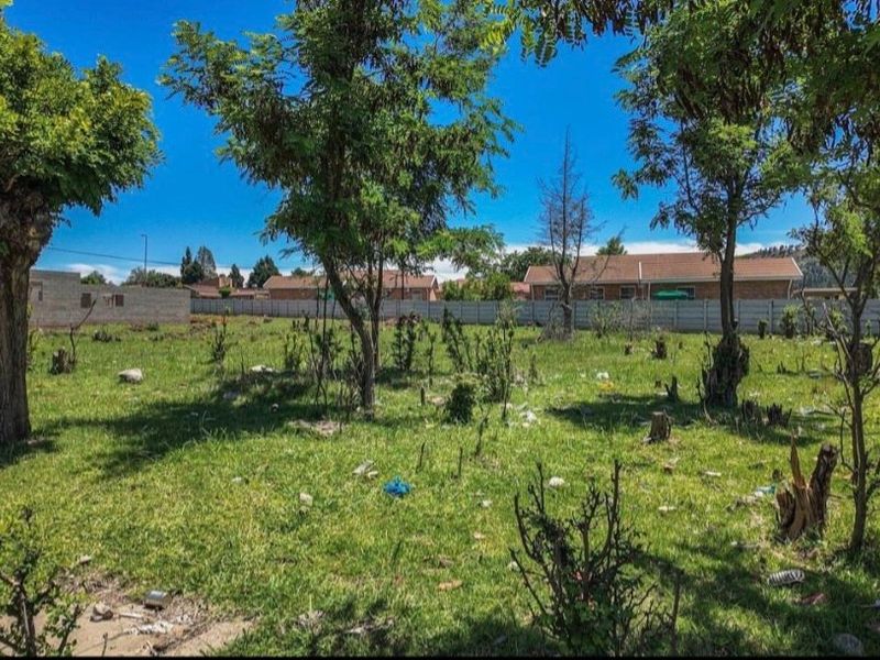 A vacant residential plot featuring mature trees and a perimeter wall, offering a blank canvas for future development.
