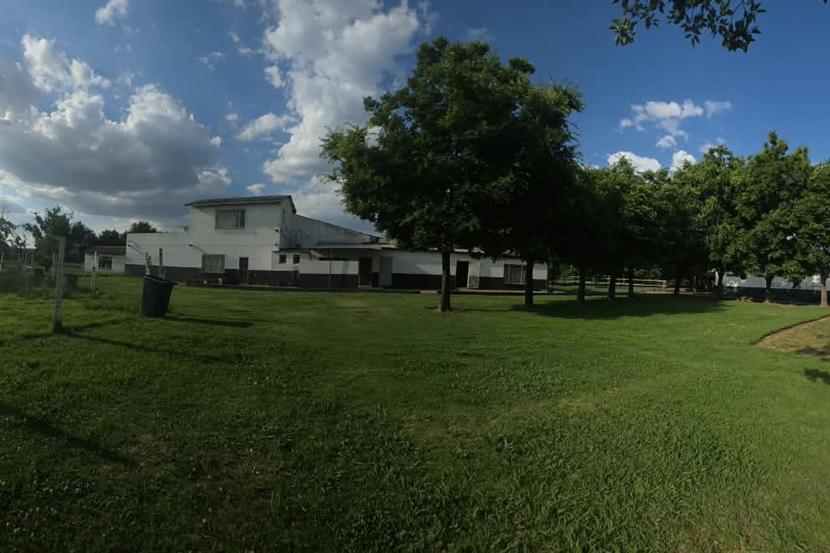 A wide-angle view of the rear garden area featuring a large lawn, mature trees, and the rear elevation of the farm buildings.
