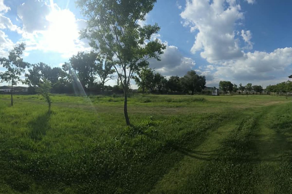 A wide-angle view of a large, open grassy field on a farm property with mature trees and a portion of an exterior building wall.
