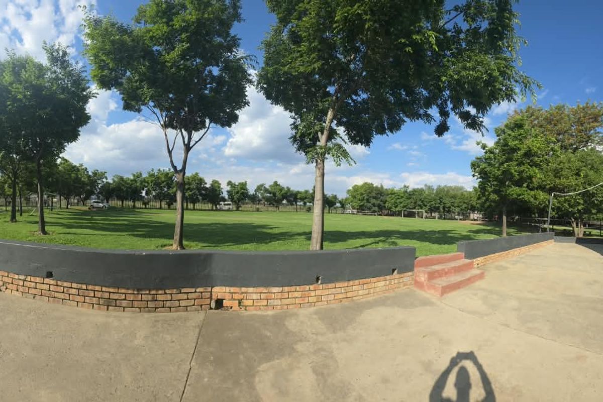 Spacious outdoor garden area featuring a curved brick retaining wall, concrete paving, and established trees, adjacent to a building structure.