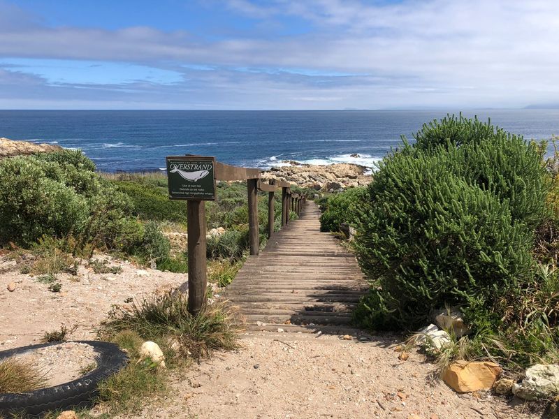 A scenic wooden boardwalk path leading towards the ocean, offering direct coastal access and expansive sea views.