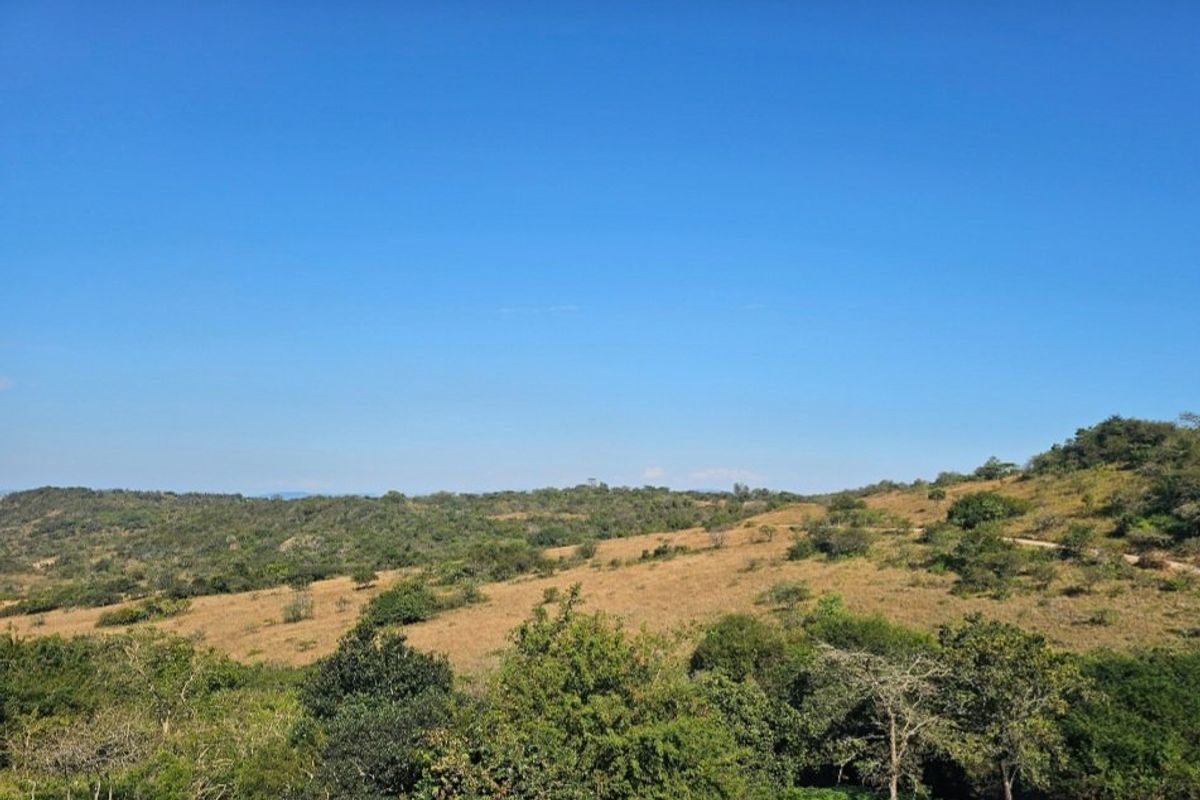 A scenic view of the natural landscape featuring rolling hills and native vegetation on the vacant residential land.