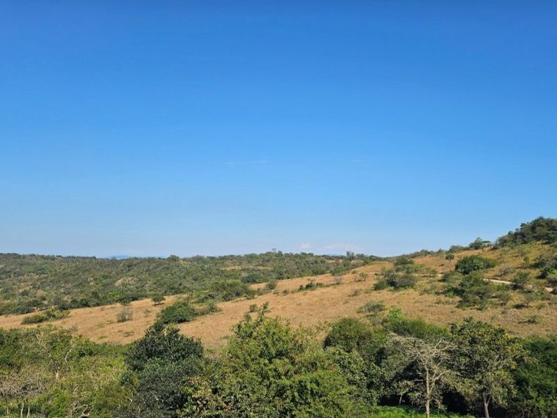 A scenic view of the natural landscape featuring rolling hills and native vegetation on the vacant residential land.