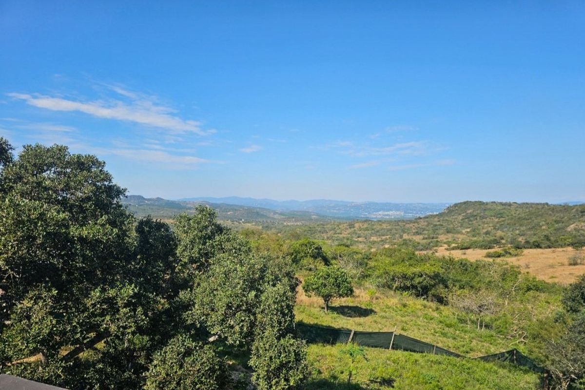 A scenic elevated view overlooking a vast natural landscape with rolling hills and lush vegetation under a clear blue sky.