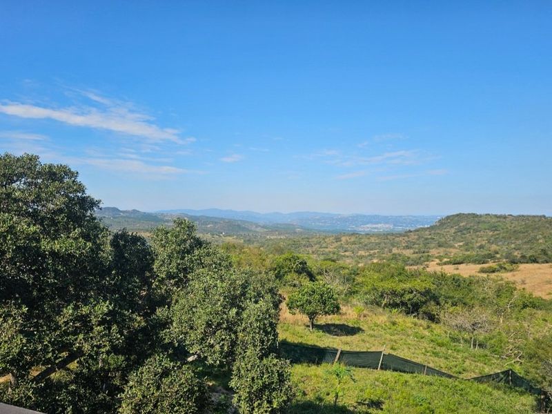 A scenic elevated view overlooking a vast natural landscape with rolling hills and lush vegetation under a clear blue sky.
