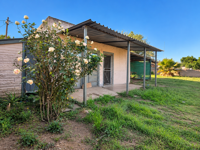 Rear view of the property featuring a covered patio area, brick construction, and a spacious garden with established landscaping.