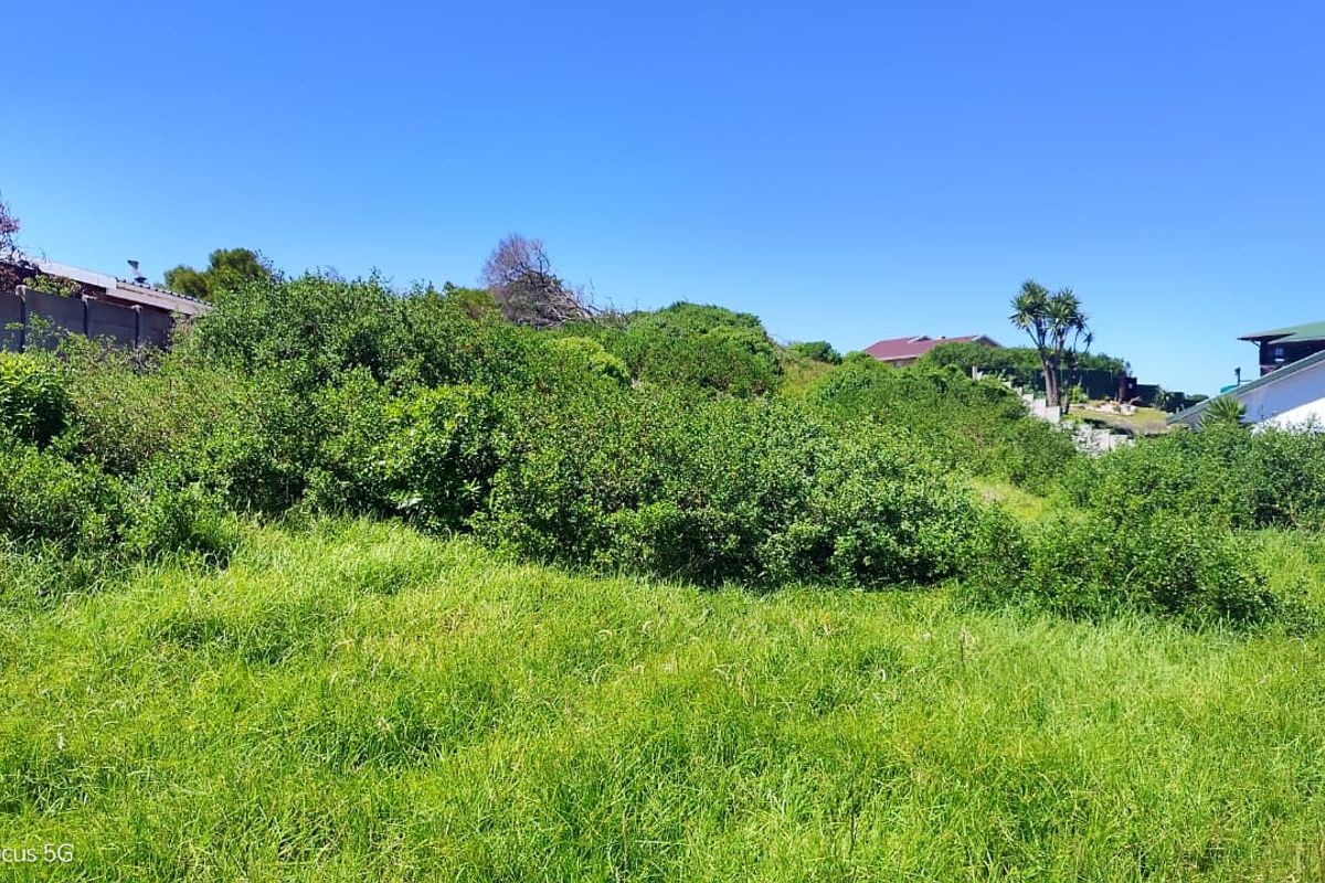 A view of a vacant residential plot featuring sloped terrain and dense, overgrown vegetation, bordered by a boundary wall.