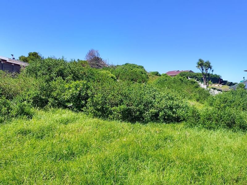 A view of a vacant residential plot featuring sloped terrain and dense, overgrown vegetation, bordered by a boundary wall.