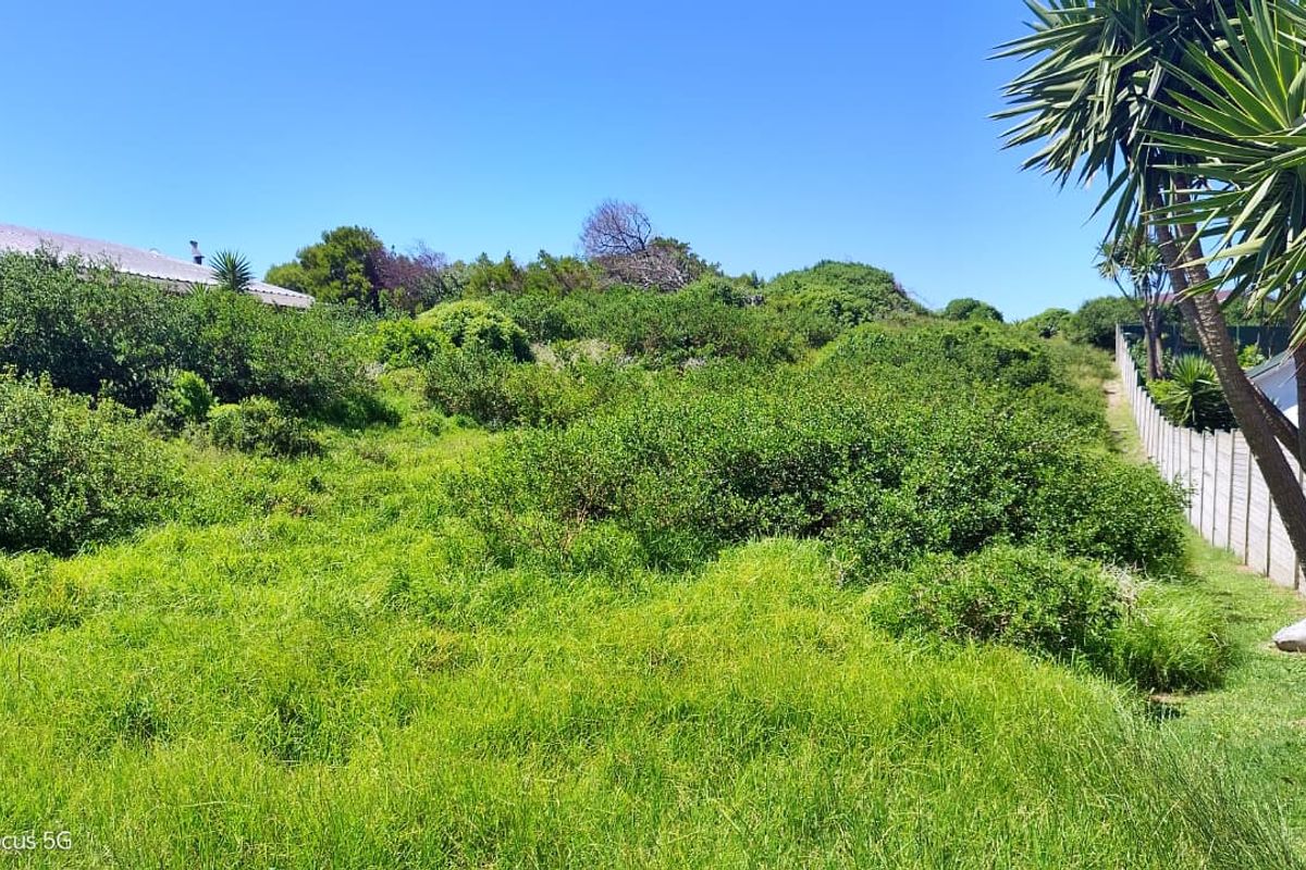 A view of a vacant residential plot featuring dense natural vegetation and a concrete boundary wall along the side.