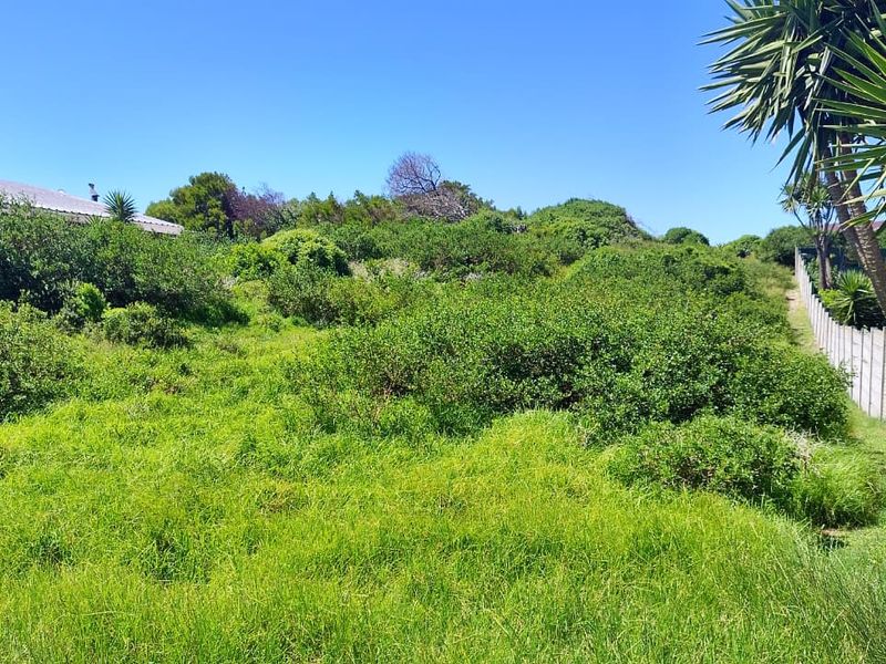 A view of a vacant residential plot featuring dense natural vegetation and a concrete boundary wall along the side.