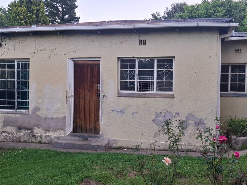 Rear exterior view of a single-story house featuring a timber entrance door, metal security bars on windows, and a small concrete garden planter.