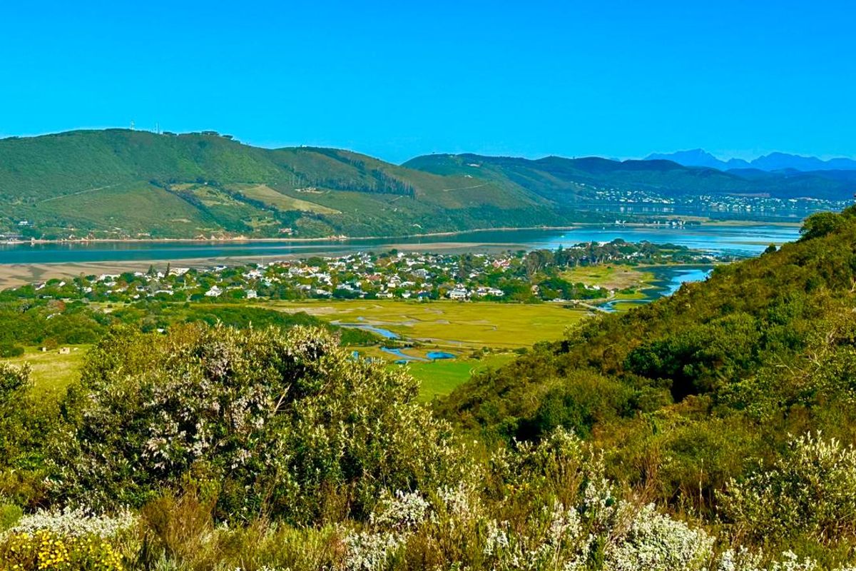 A scenic elevated view overlooking the estuary, surrounding wetlands, and distant mountain ranges, showcasing the natural landscape of the residential area.