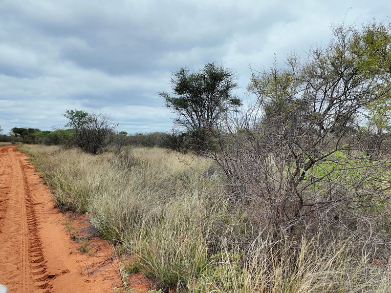 A view of the natural farm landscape featuring a dirt access road and indigenous bushveld vegetation under a cloudy sky.