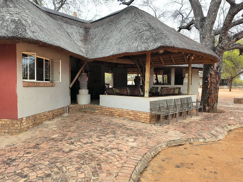 A rustic outdoor patio area featuring a traditional thatched roof, brick paving, and timber support posts, set within a natural farm landscape.